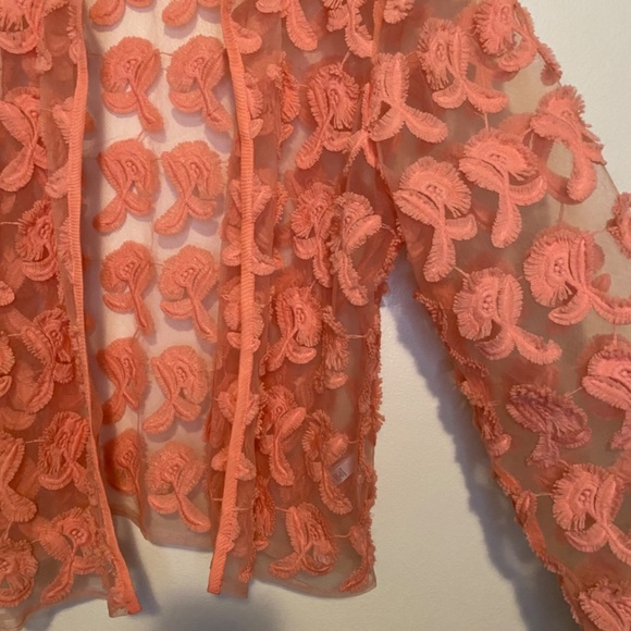 Cupio Embroidered Floral Sheer Pink Open Jacket XL - Picture 4 of 9